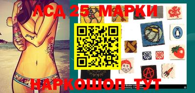 шишки Ставрополь