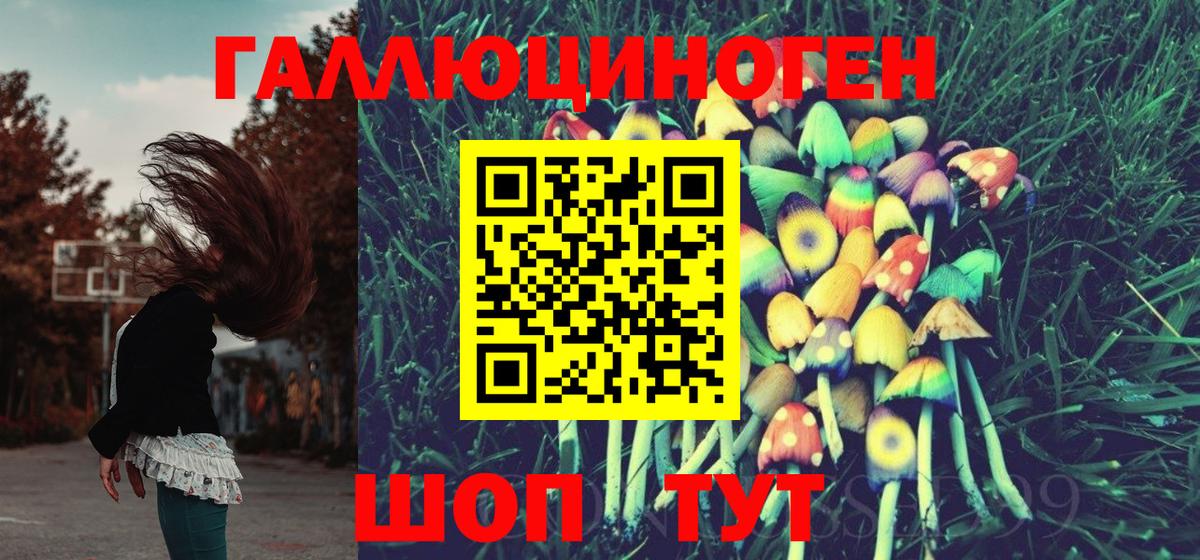 Галлюциногенные грибы Psilocybine cubensis  Псилоцибиновые грибы MAGIC MUSHROOMS  дарнет шоп  Вход с VPN  Нерюнгри 