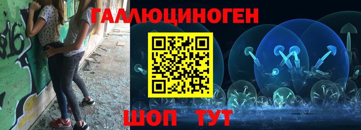 Псилоцибиновые грибы Cubensis Нерюнгри